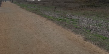 Image 3 of 30