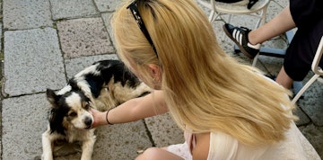 Bild 3 von 110