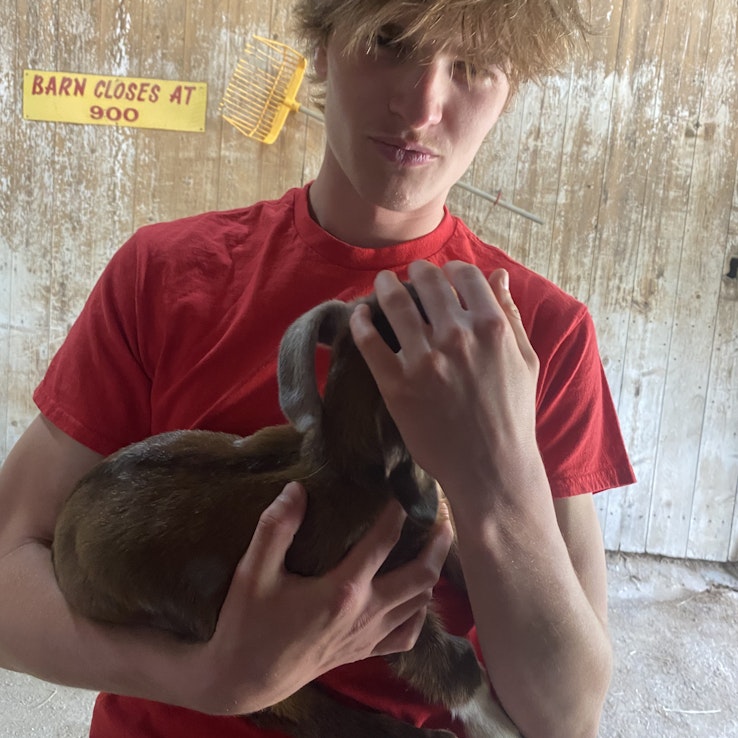 Image 1 of 5
