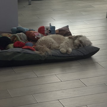 Image 2 of 9