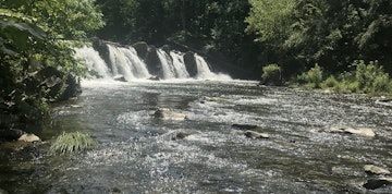 Image 2 of 8