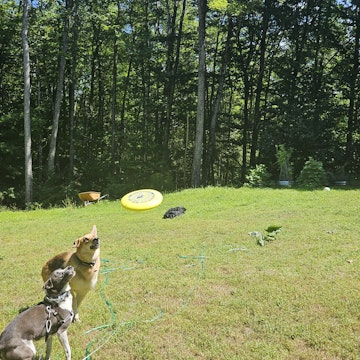 Image 1 of 23
