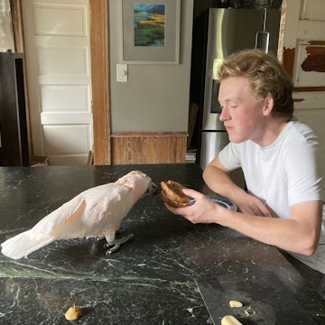 Image 4 of 110