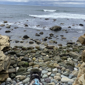 Image 2 of 73