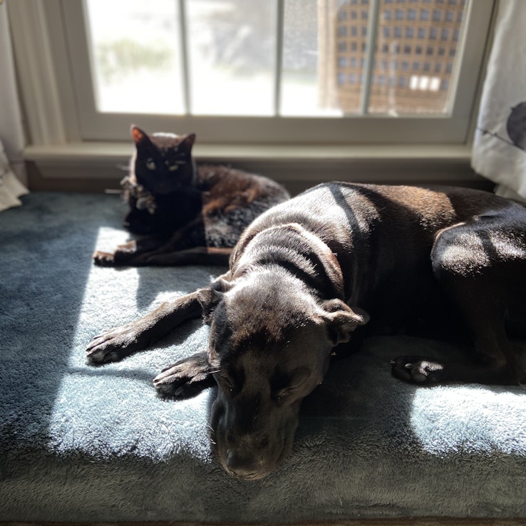 Image 1 of 8