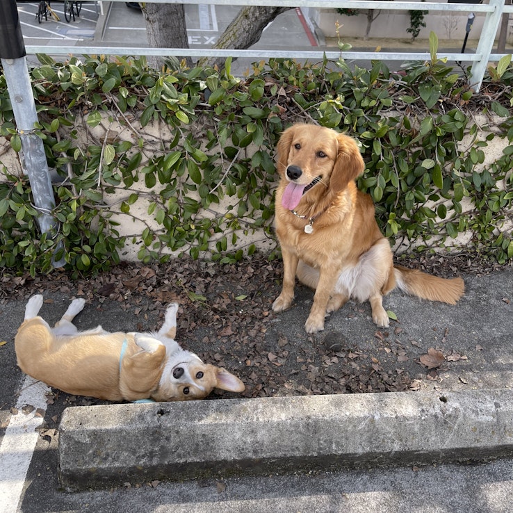 Image 1 of 110