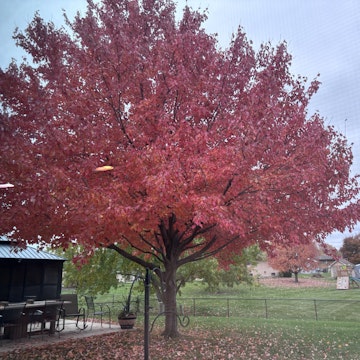 Image 5 of 7