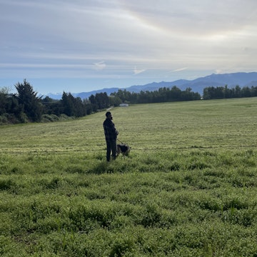 Image 4 of 25