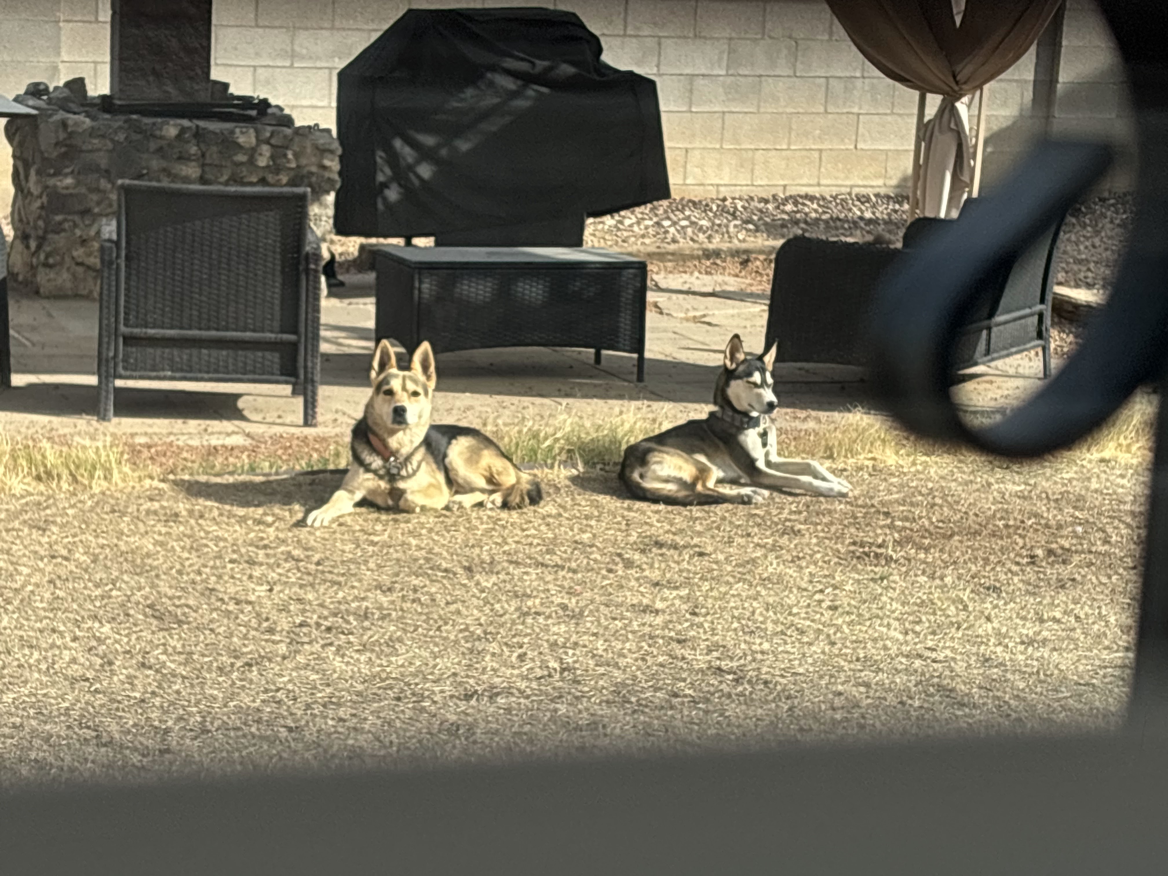 Image 4 of 7