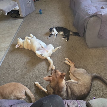 Image 4 of 112