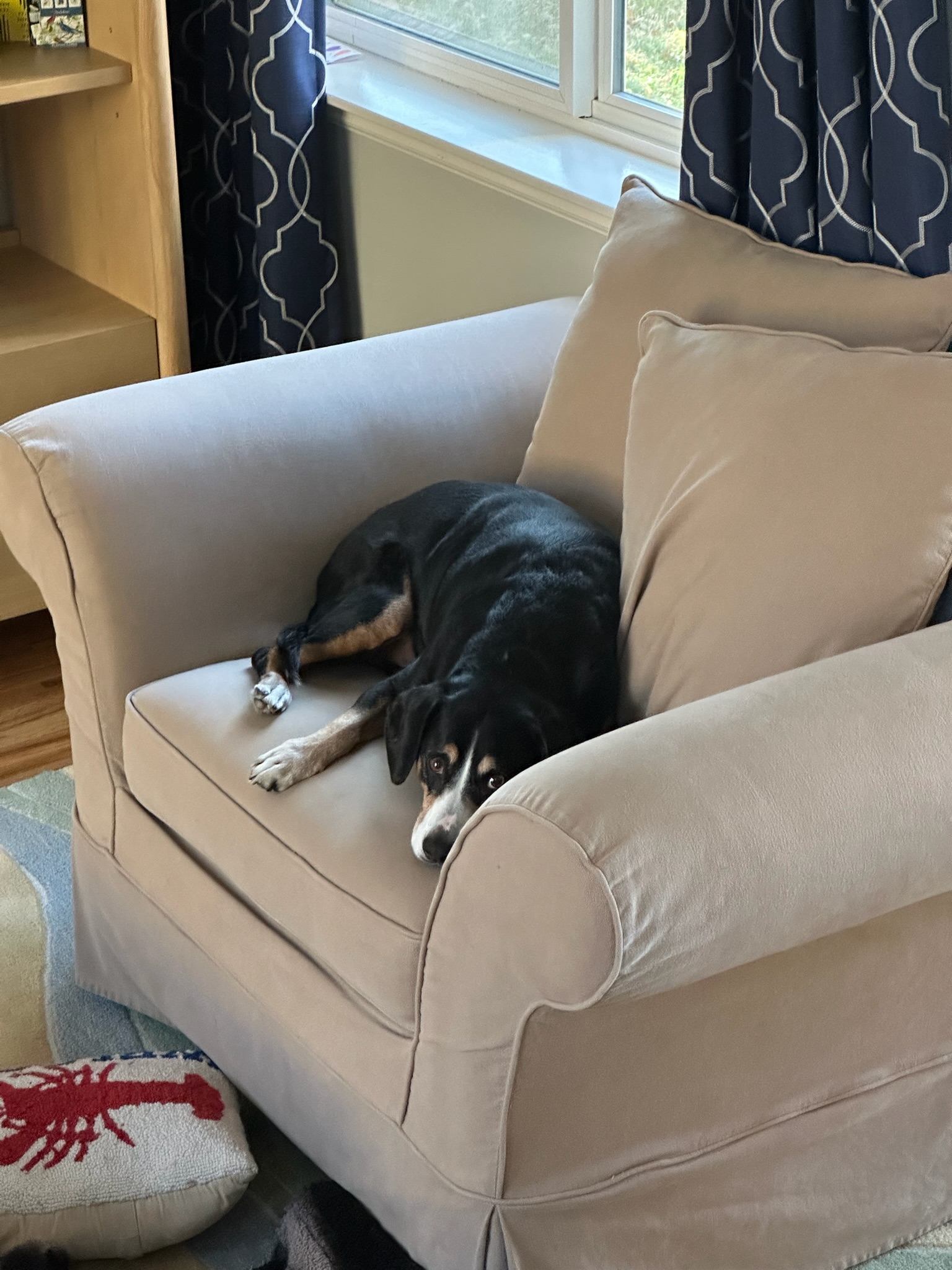 Image 1 of 5