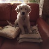 Daisy M.