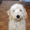 Maggie G.