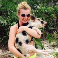 Doggy Day Care Jacksonville Beach Fl Doggy Day Care Jacksonville Beach Fl