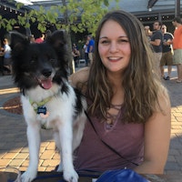 Best Dog Boarding Louisville Ky Best Dog Boarding Louisville Ky