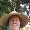Lynne P.