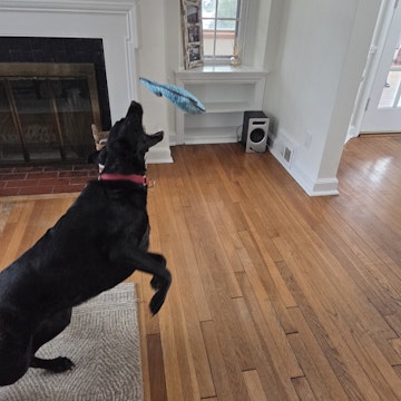Image 1 of 25