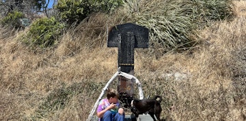 Image 2 of 6