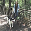 Luci T.
