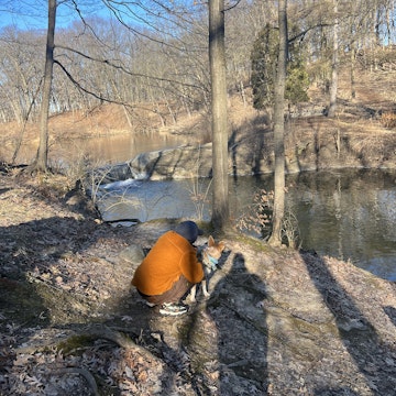 Image 2 of 4