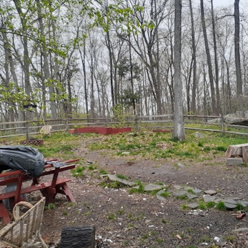 Image 3 of 109