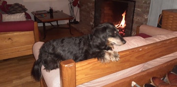 Bild 5 von 109
