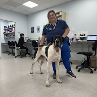 Sitter Profile Image: Jordan M.