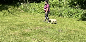 Image 2 of 5