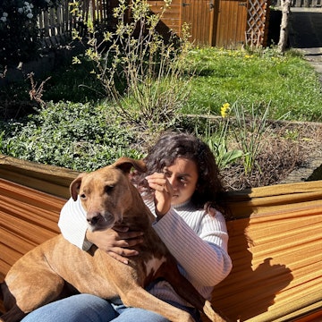 Image 2 of 20