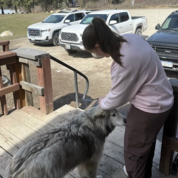 Image 2 of 5