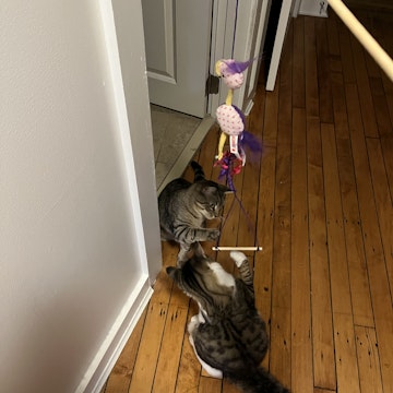 Image 4 of 13