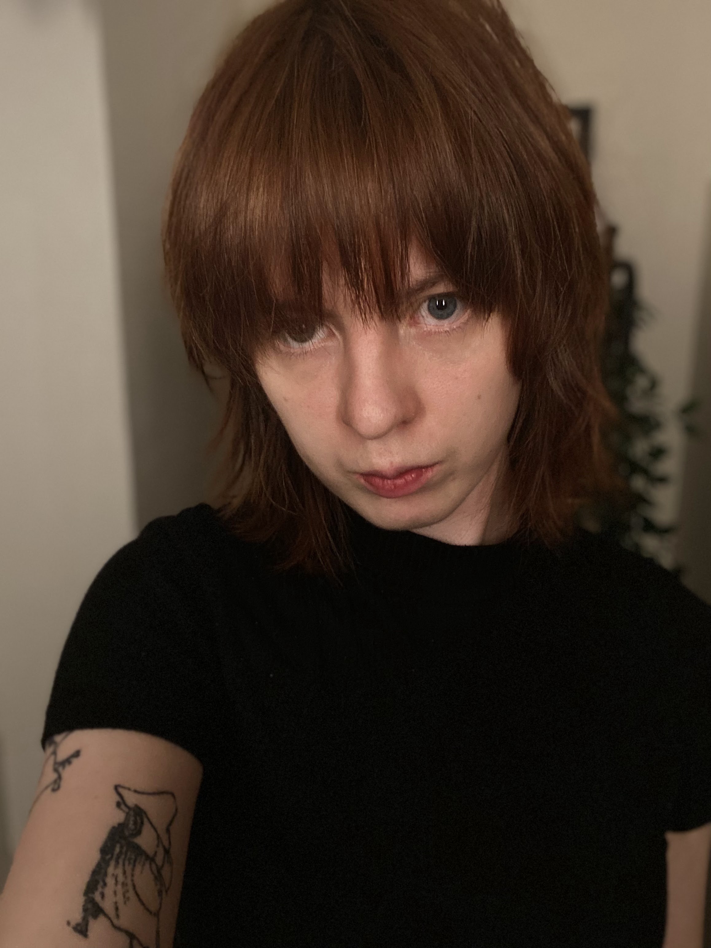 Passarens profilbild: Nemo B.