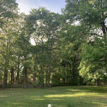 Image 2 of 105