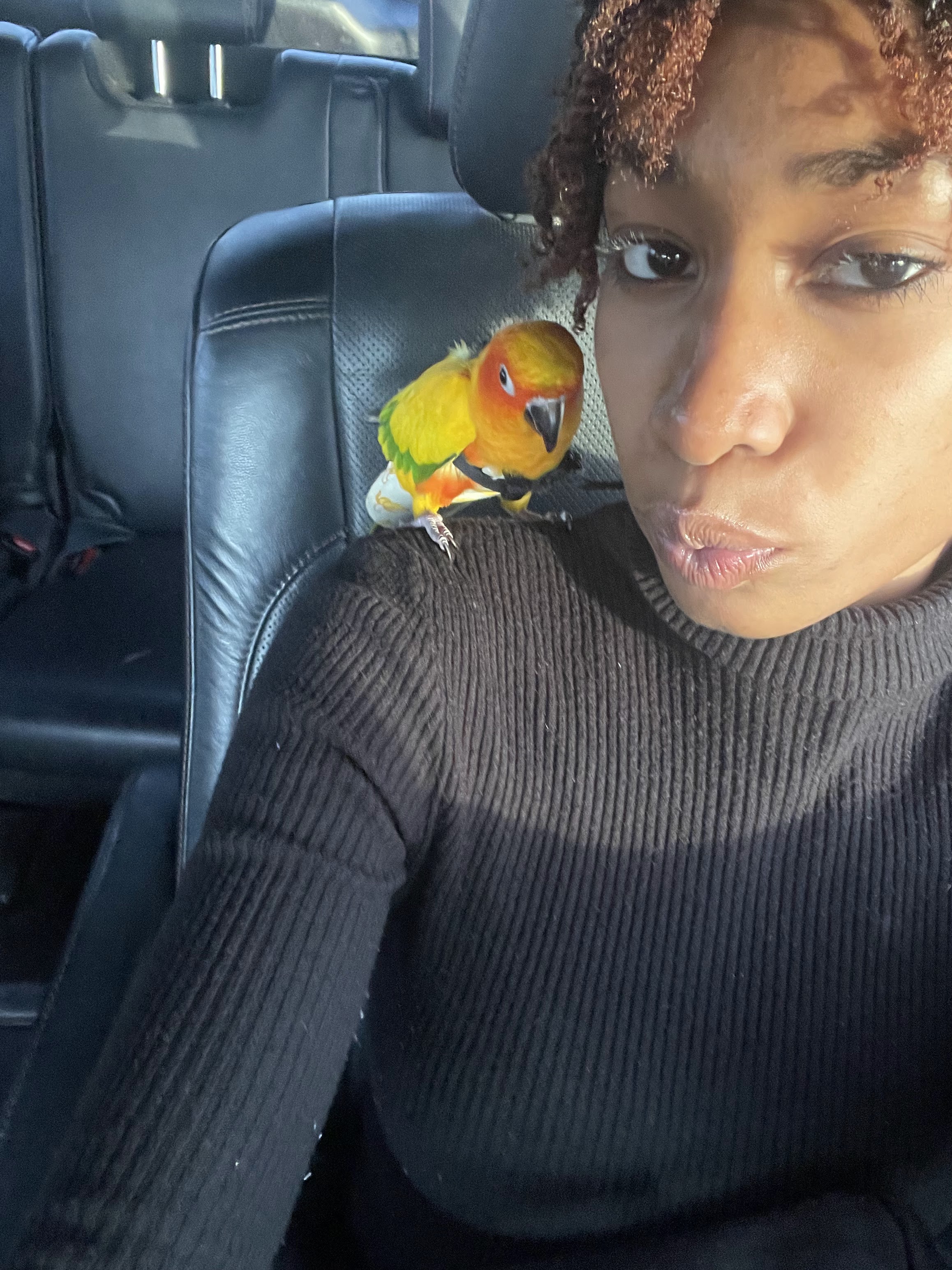 Sitter Profile Image: Deyzha J.