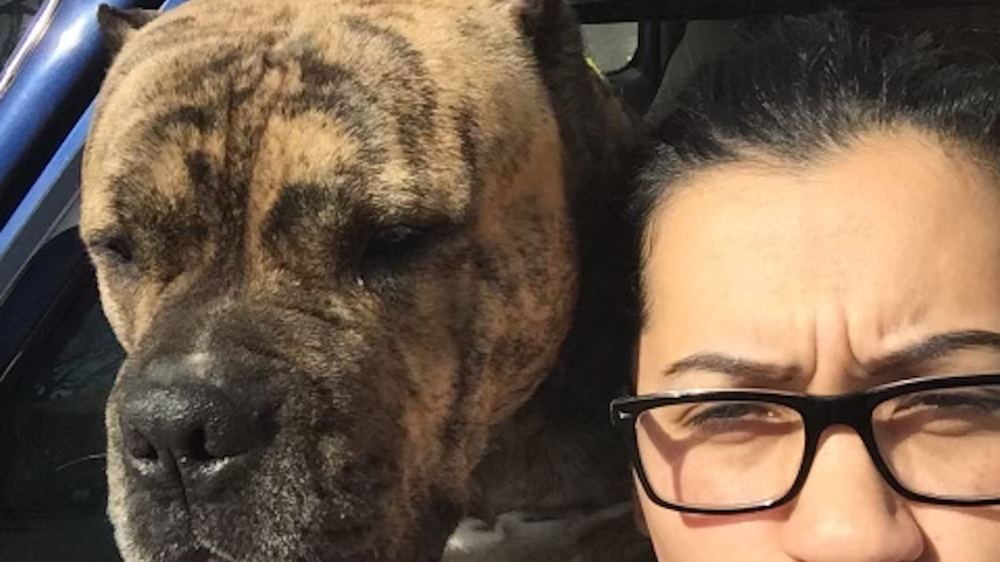 Find loving pet care with Paula S. on Rover.com