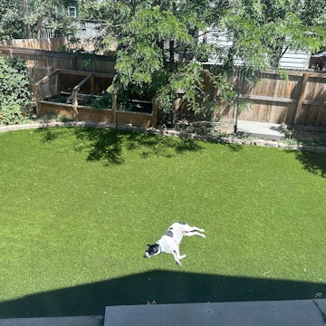 Image 4 of 14