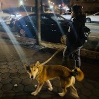 Sitter Profile Image: Nastassja L.