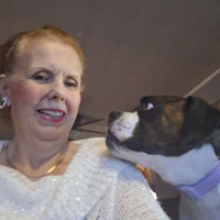 Sitter Profile Image: Edie T.