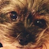 Laila P.