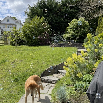 Image 5 of 25