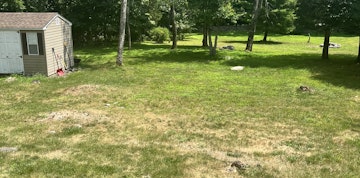 Image 3 of 25