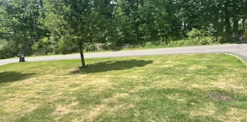 Image 4 of 25