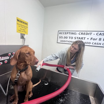 Image 3 of 13