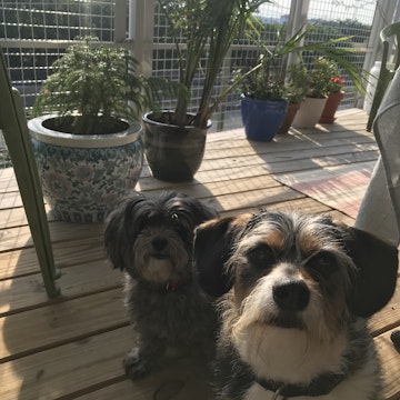 Image 5 of 60