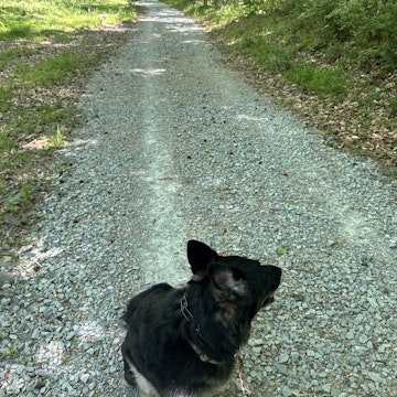 Image 4 of 7