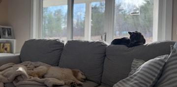 Image 5 of 9