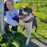 Sitter Profile Image: Sydney P.