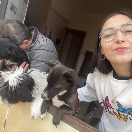 Obraz 4 z 4