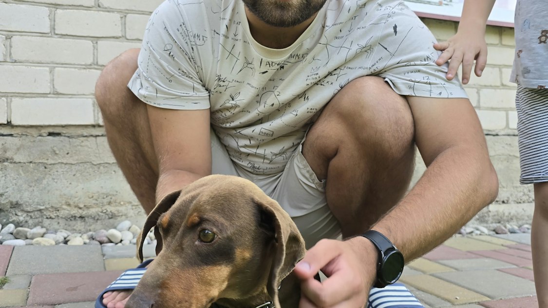 pet