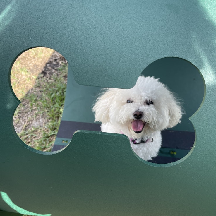 Image 1 of 17